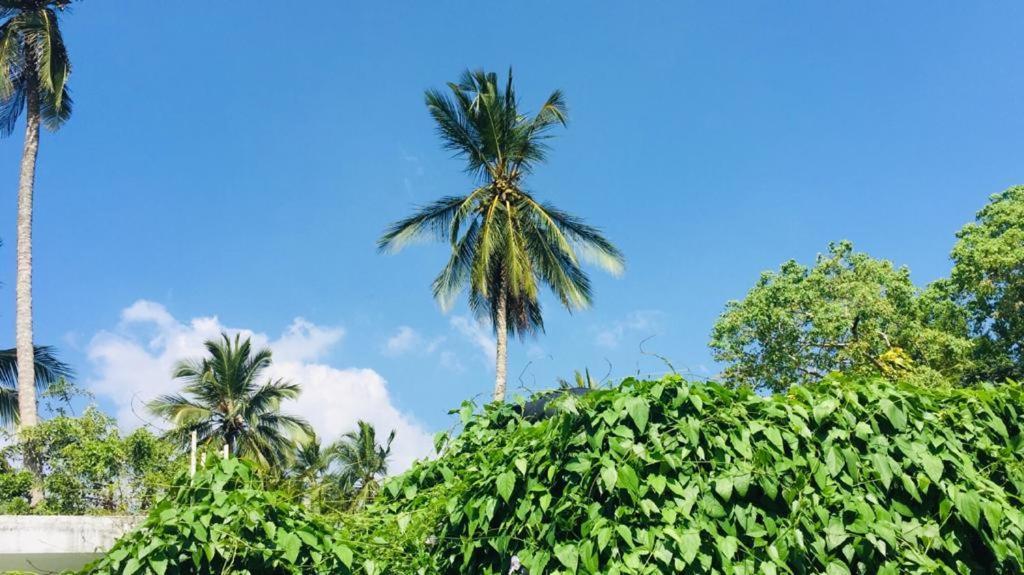 Villa Out Of Rupeace Unawatuna Esterno foto